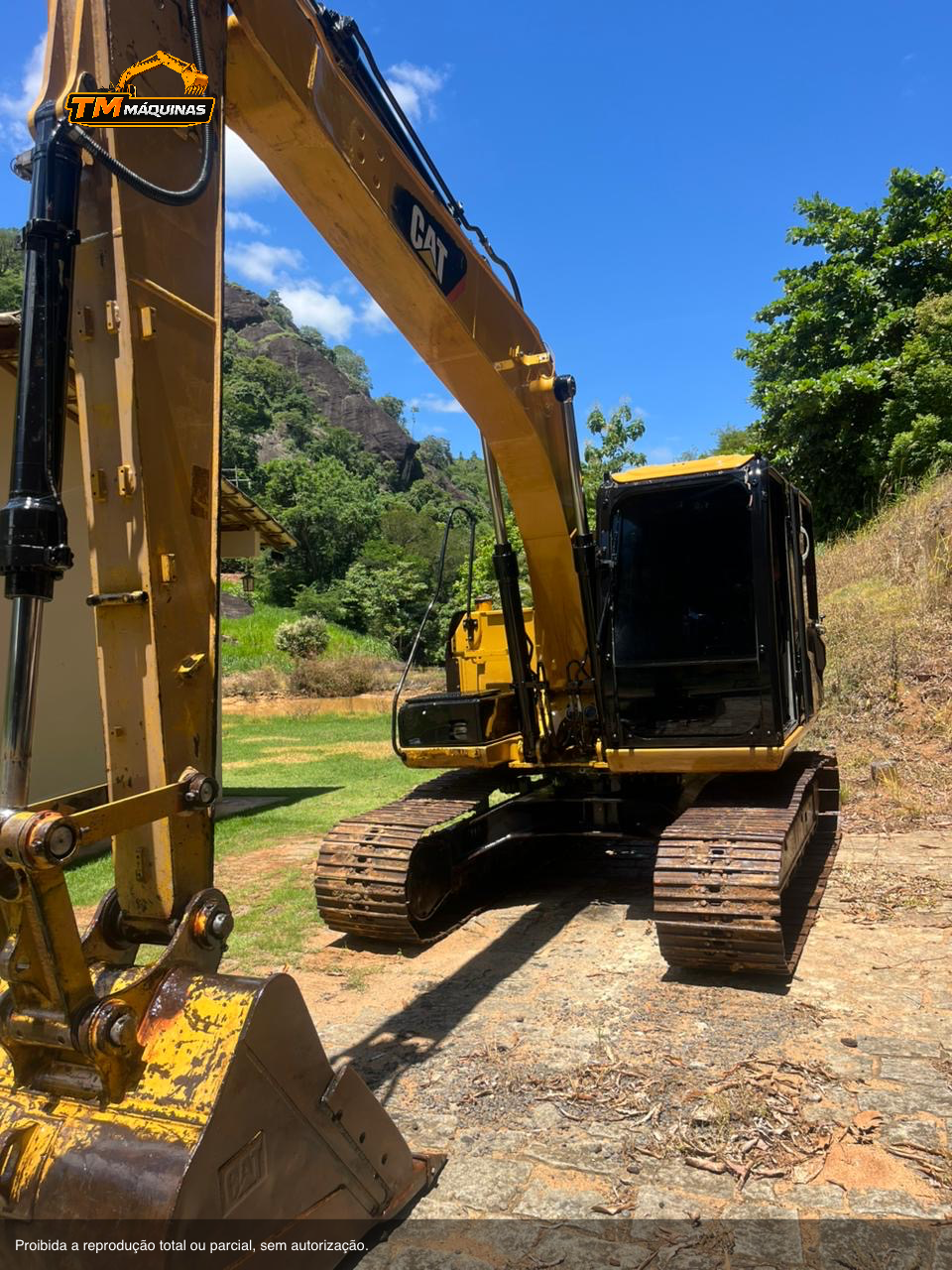 Caterpillar thumbnail 1