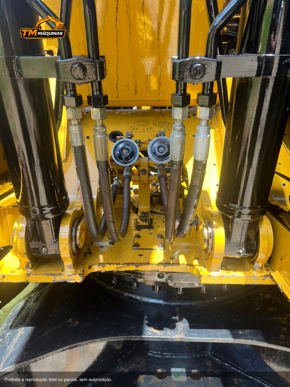 Caterpillar thumbnail 5