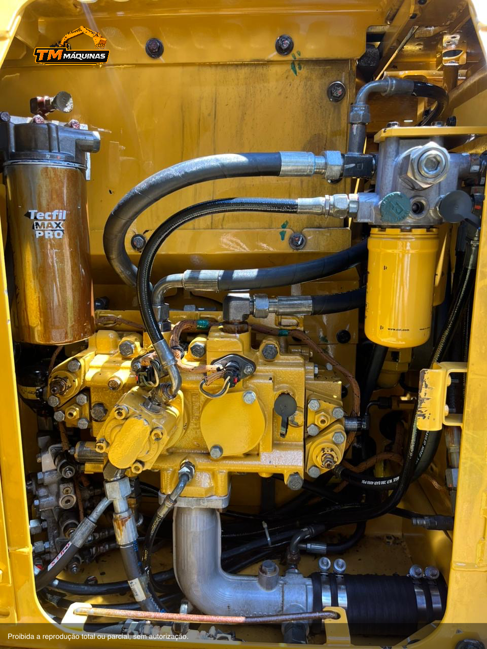 Caterpillar thumbnail 6