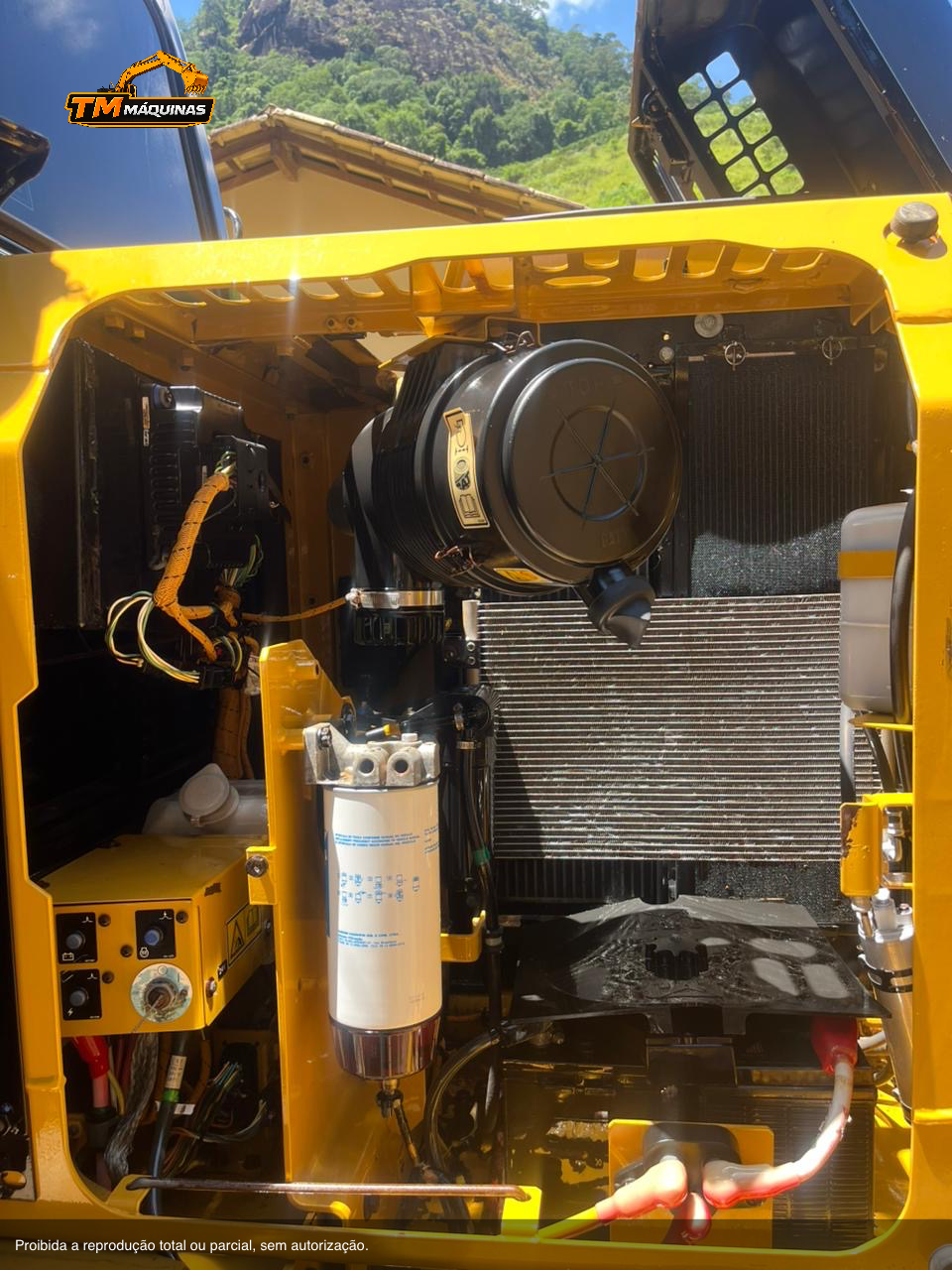 Caterpillar thumbnail 7