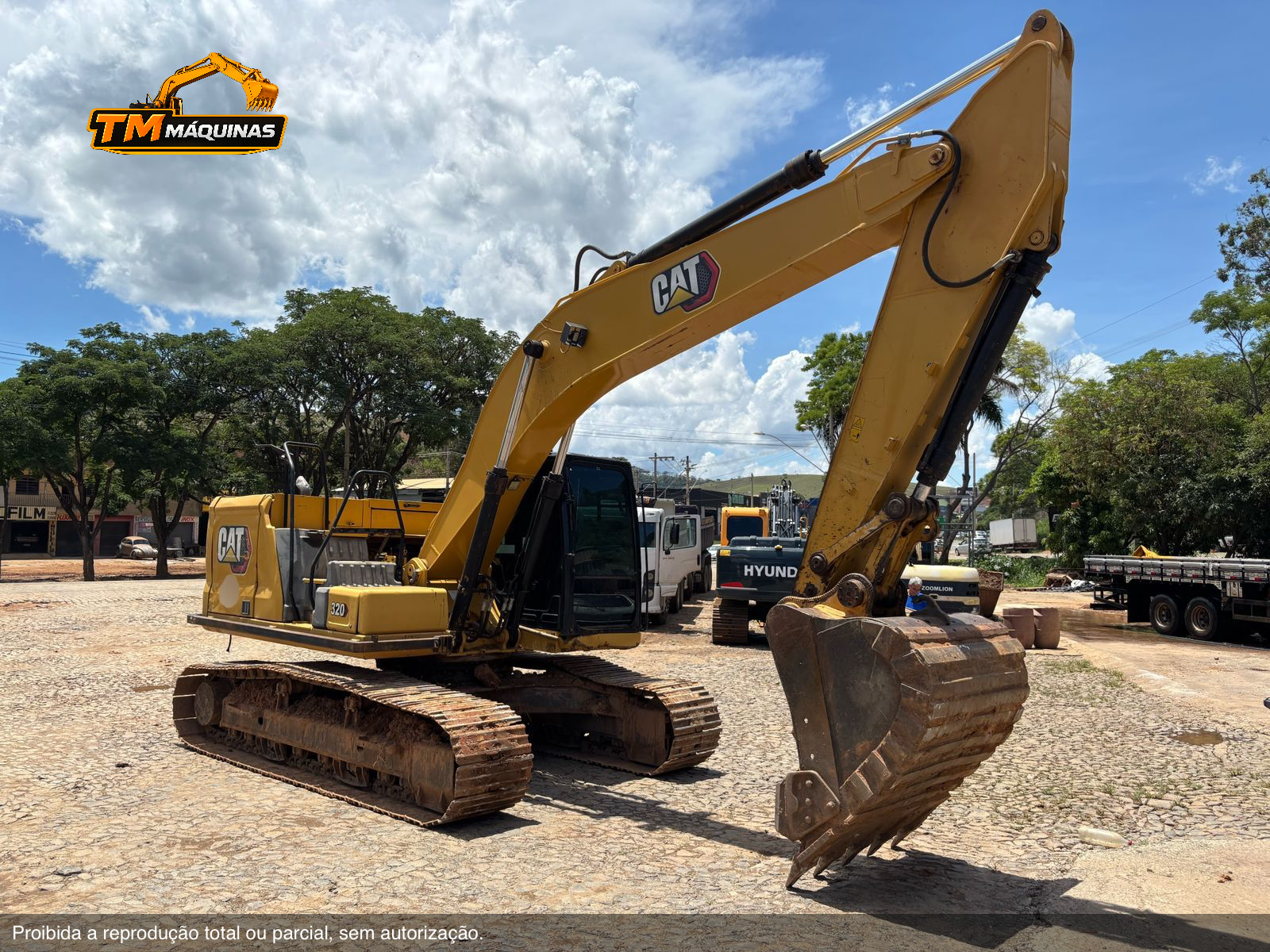 Caterpillar thumbnail 3