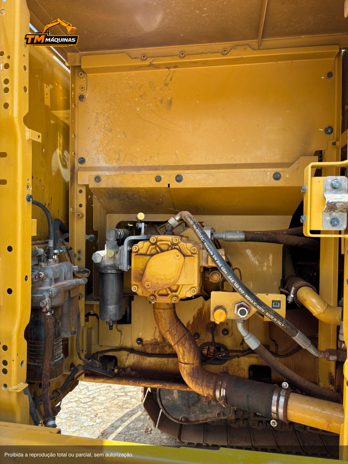 Caterpillar thumbnail 6