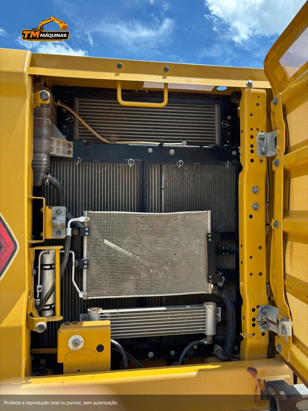 Caterpillar thumbnail 7