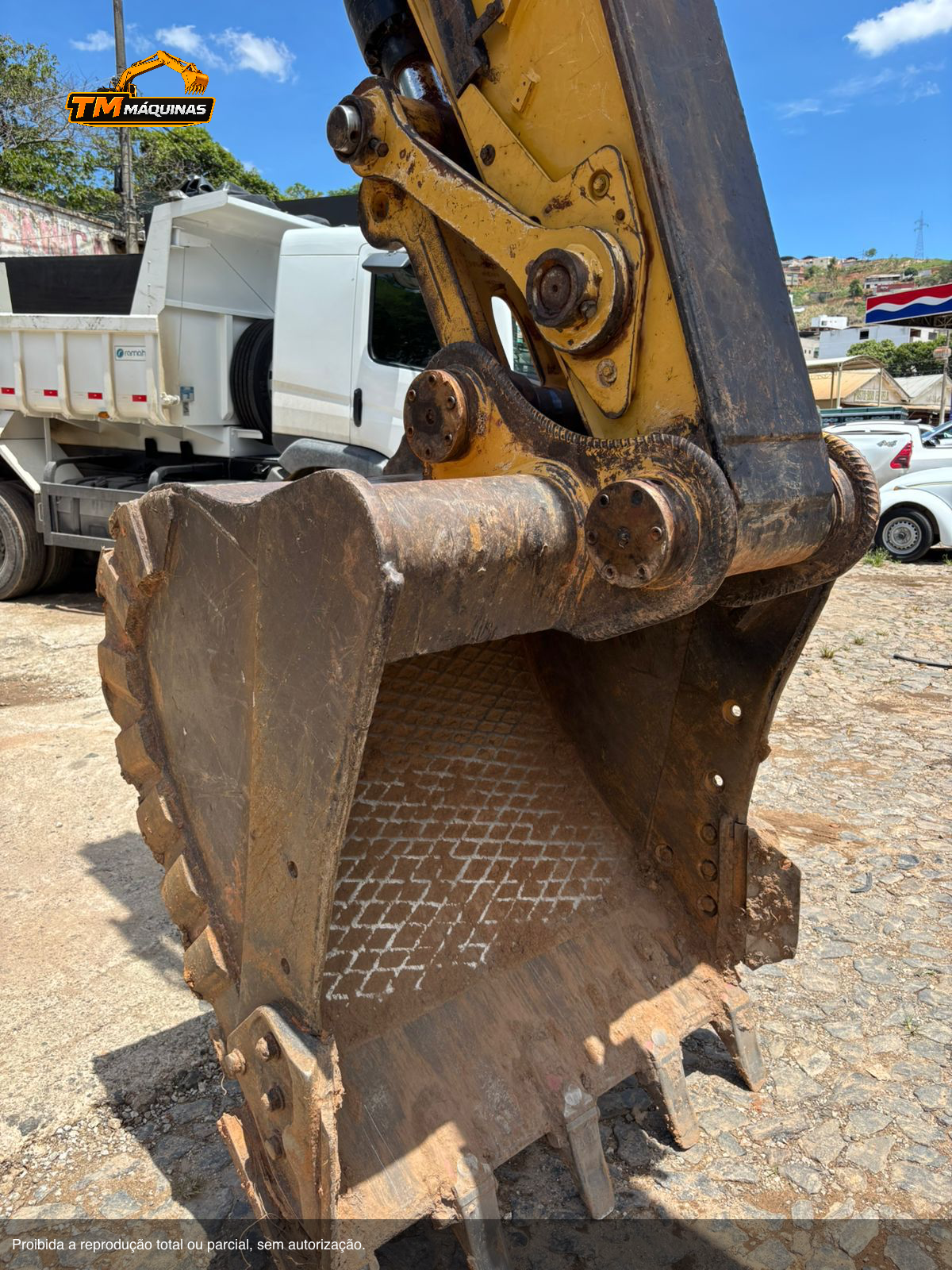 Caterpillar thumbnail 8