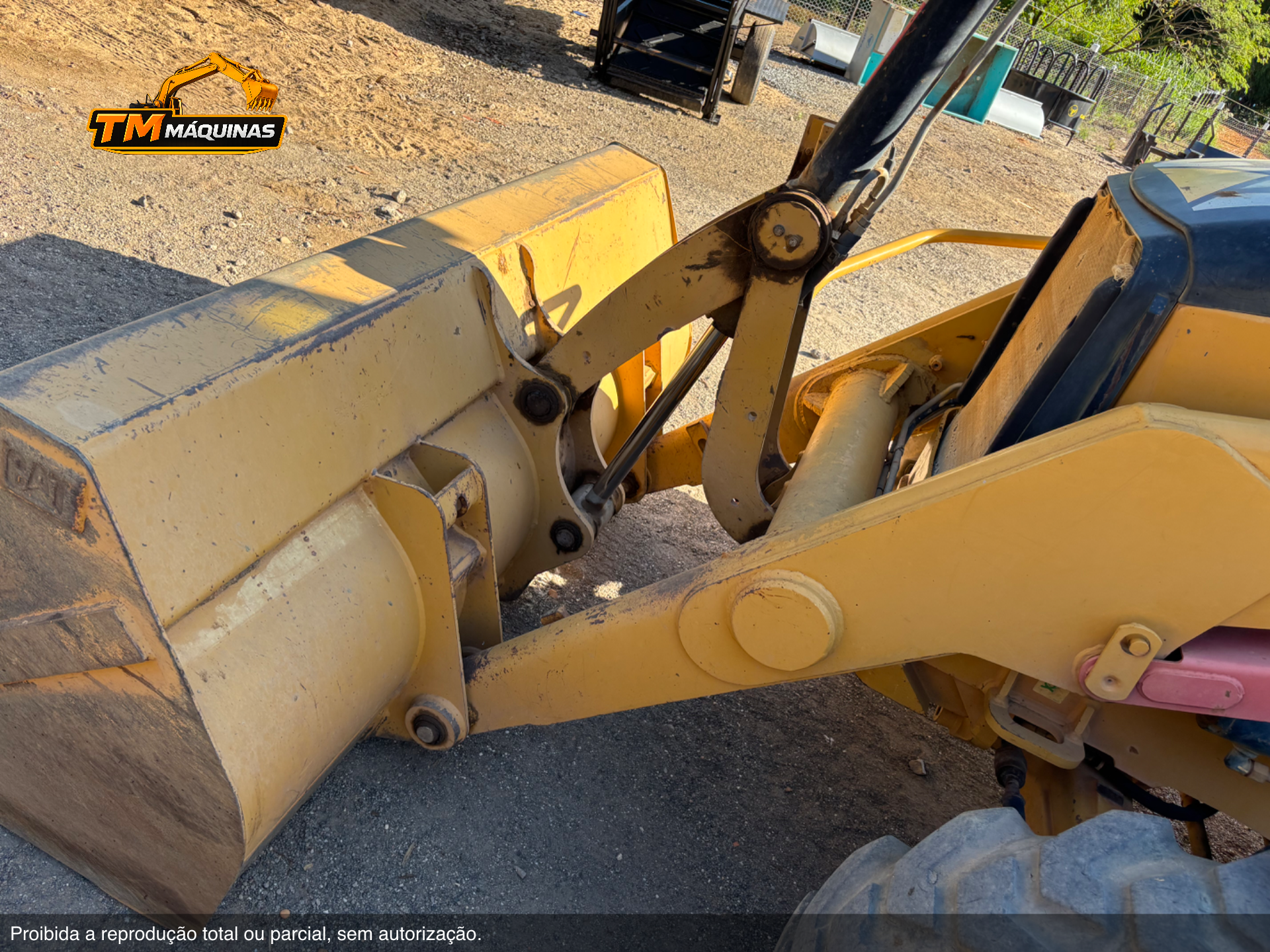 Caterpillar thumbnail 6