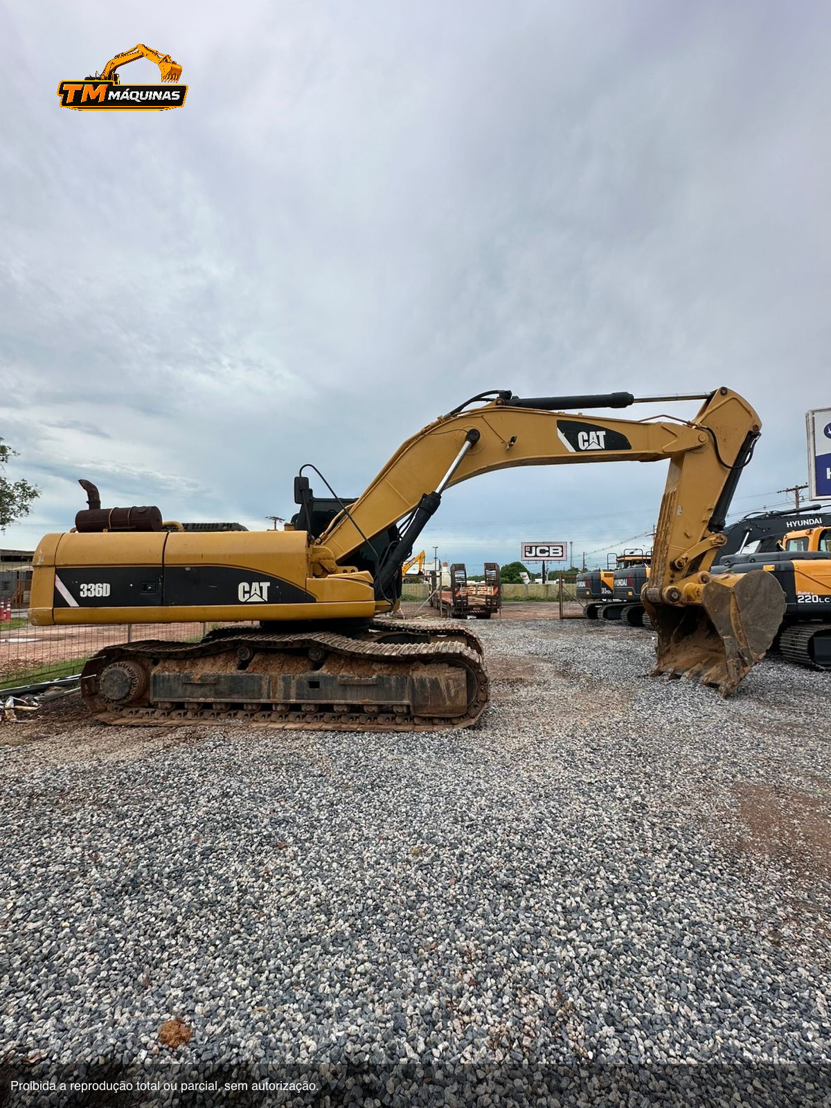 Caterpillar thumbnail 2