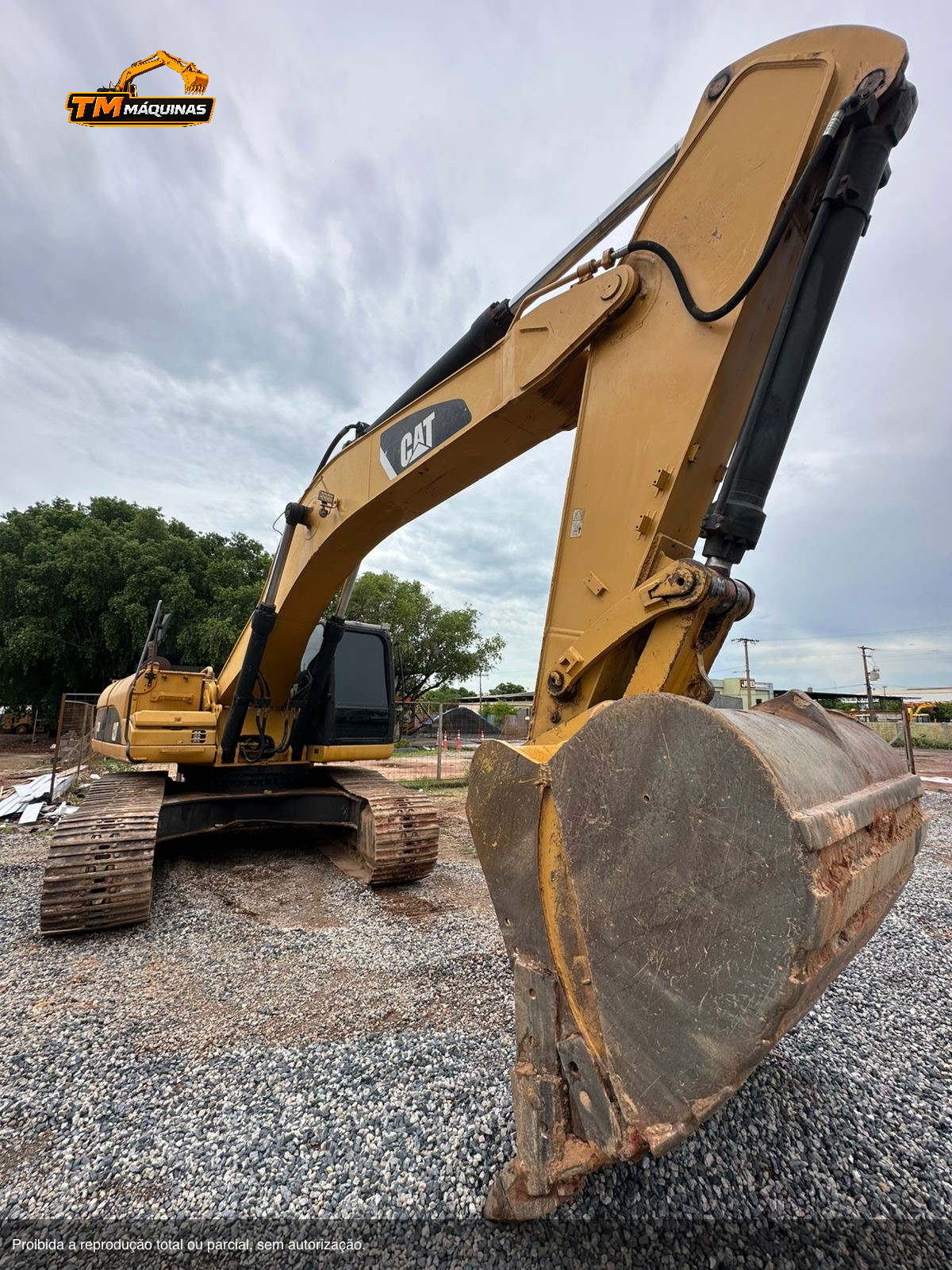 Caterpillar thumbnail 3