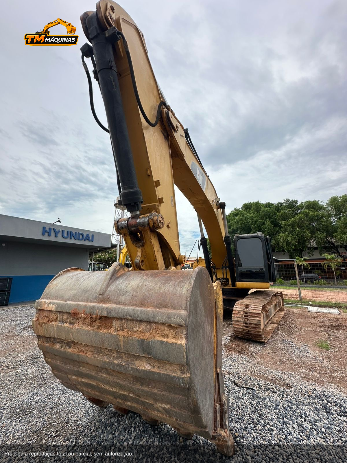 Caterpillar thumbnail 4