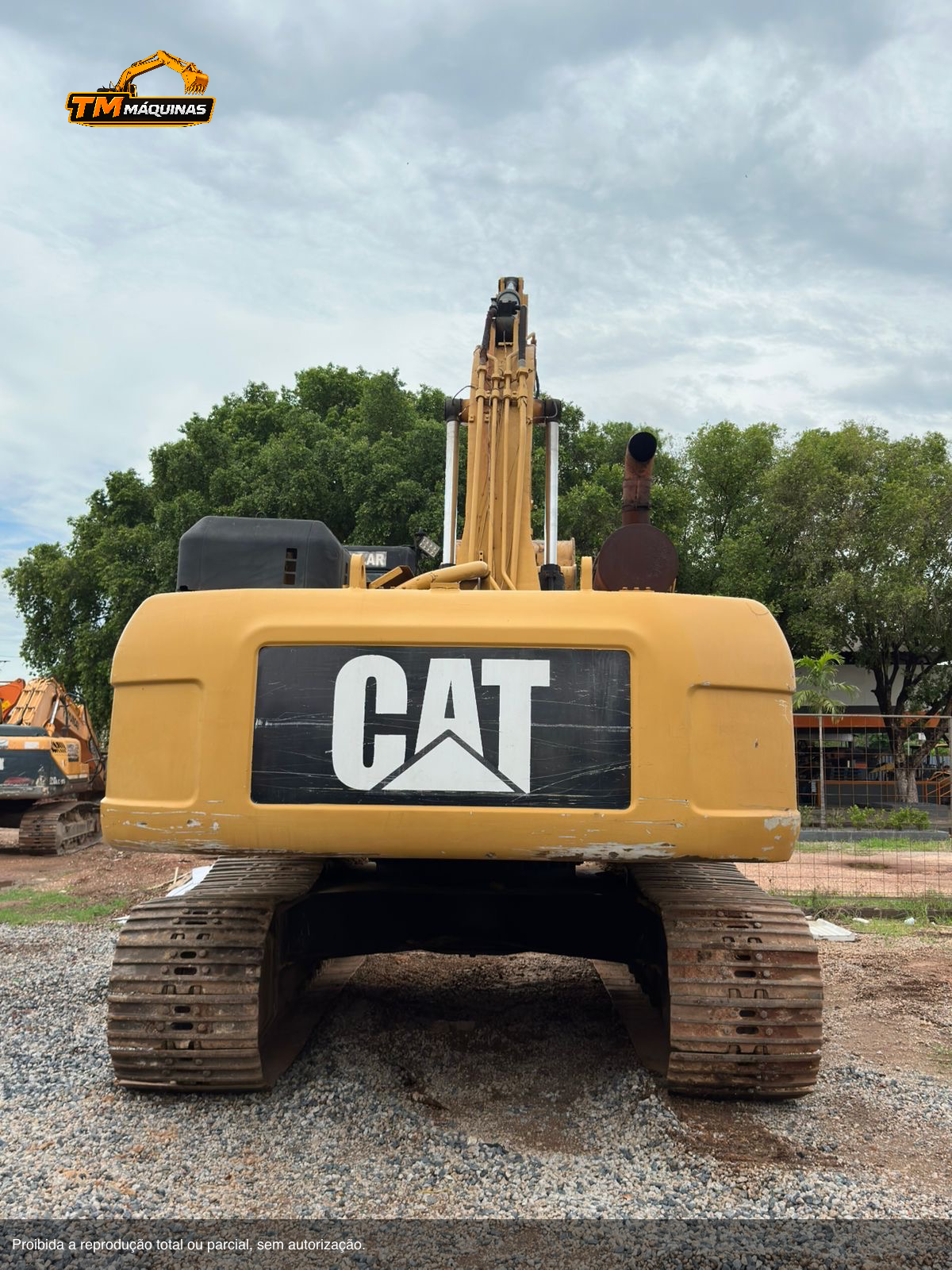 Caterpillar thumbnail 5