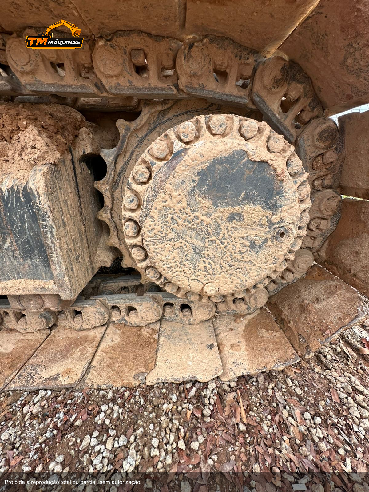 Caterpillar thumbnail 6