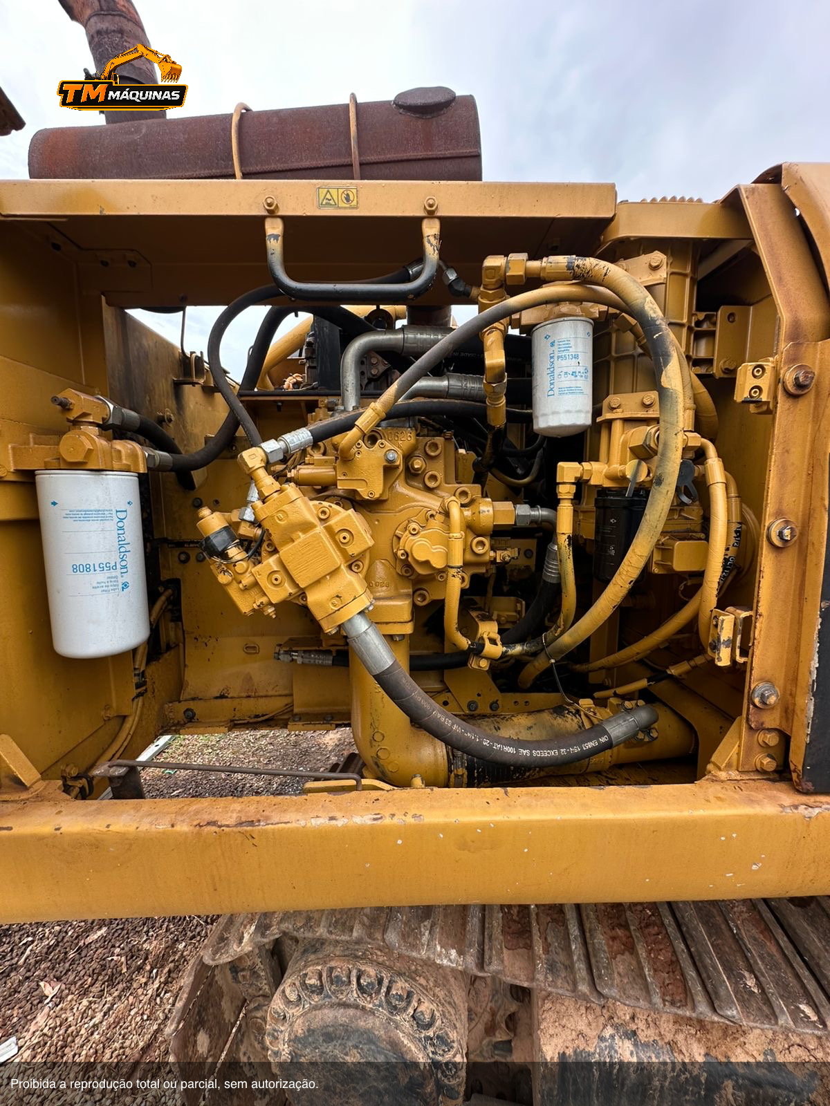 Caterpillar thumbnail 7