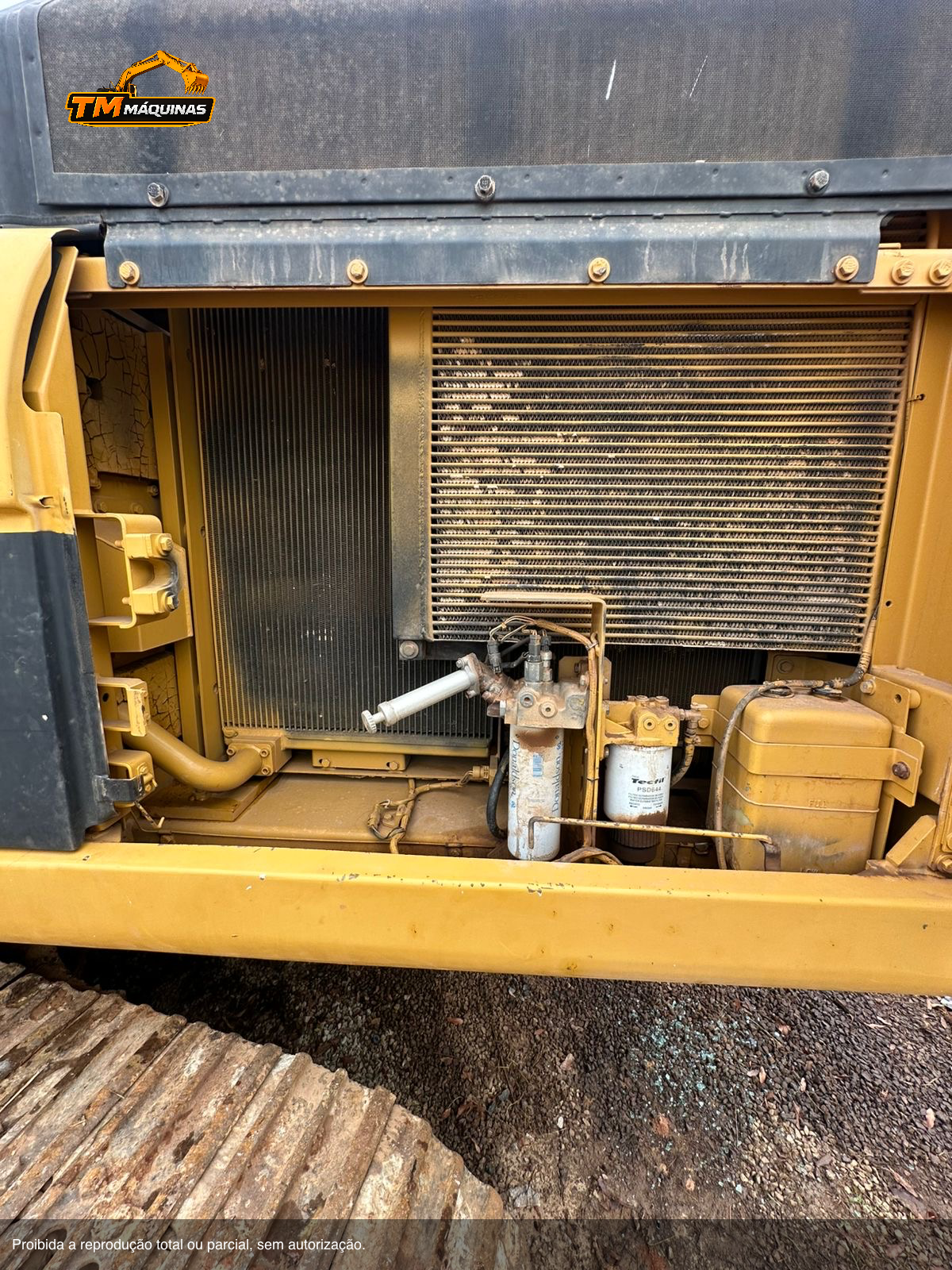 Caterpillar thumbnail 8