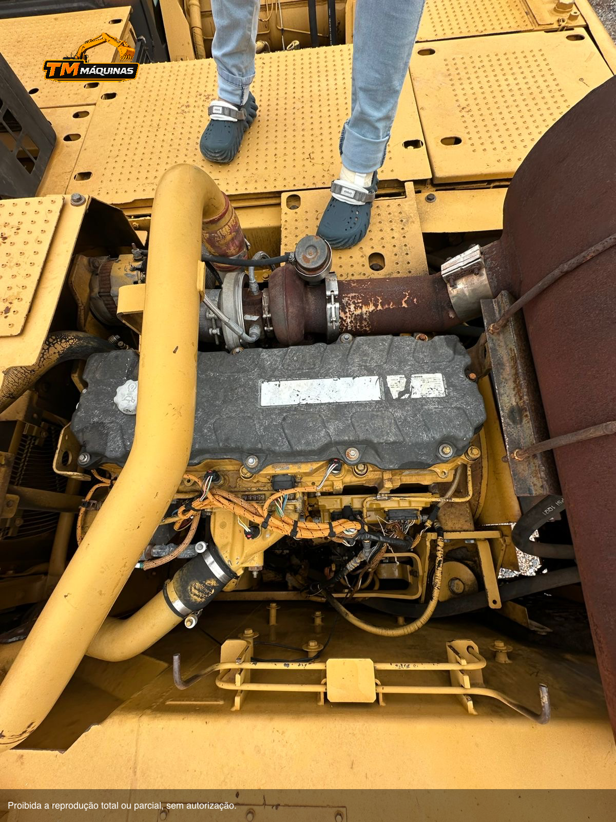 Caterpillar thumbnail 9