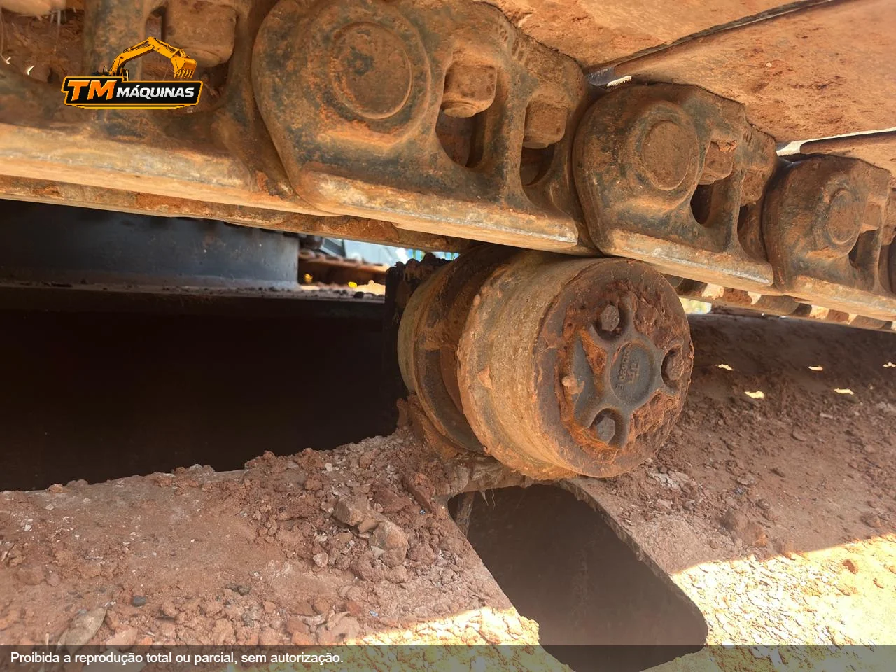 Caterpillar thumbnail 7