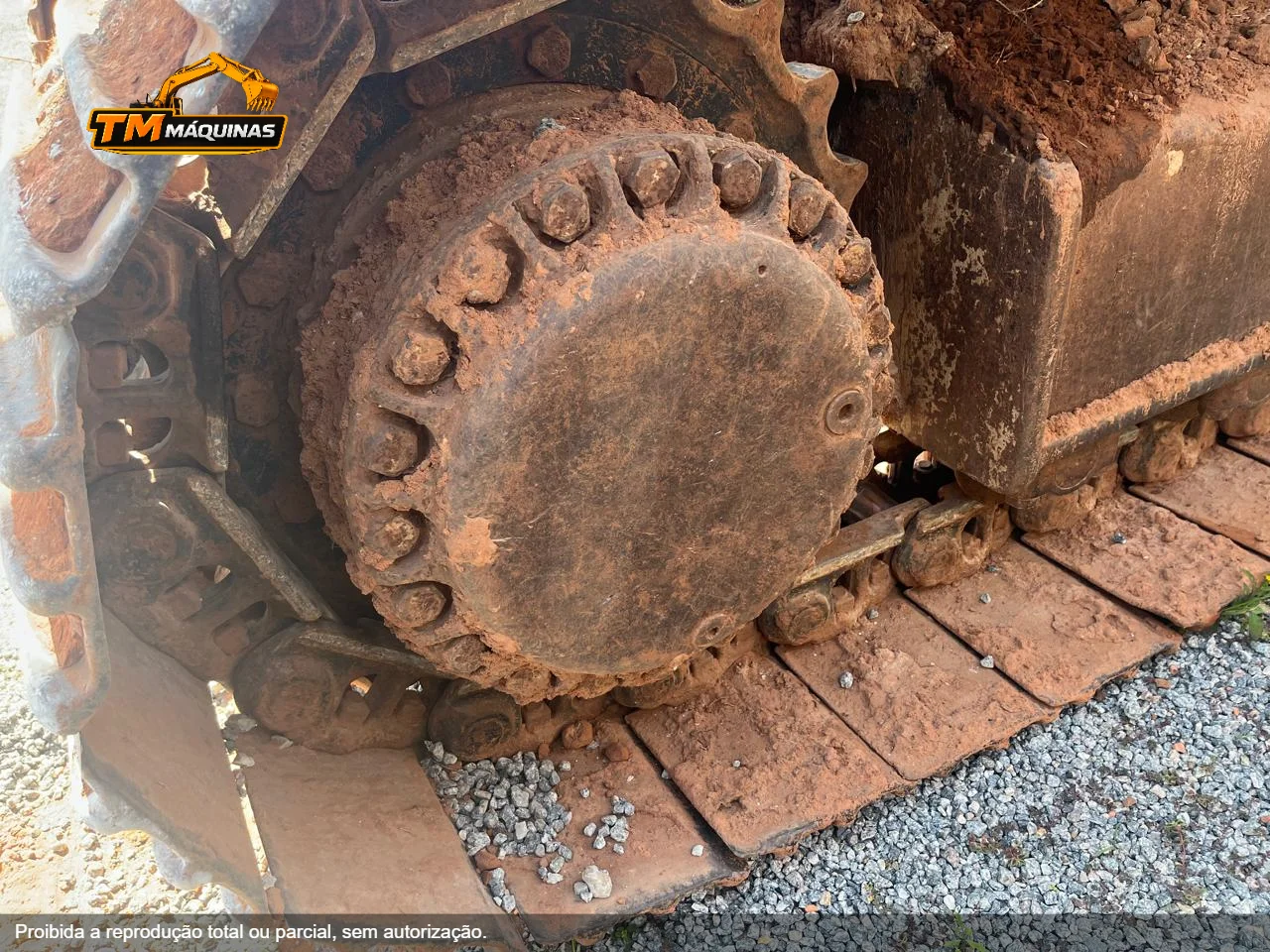 Caterpillar thumbnail 8