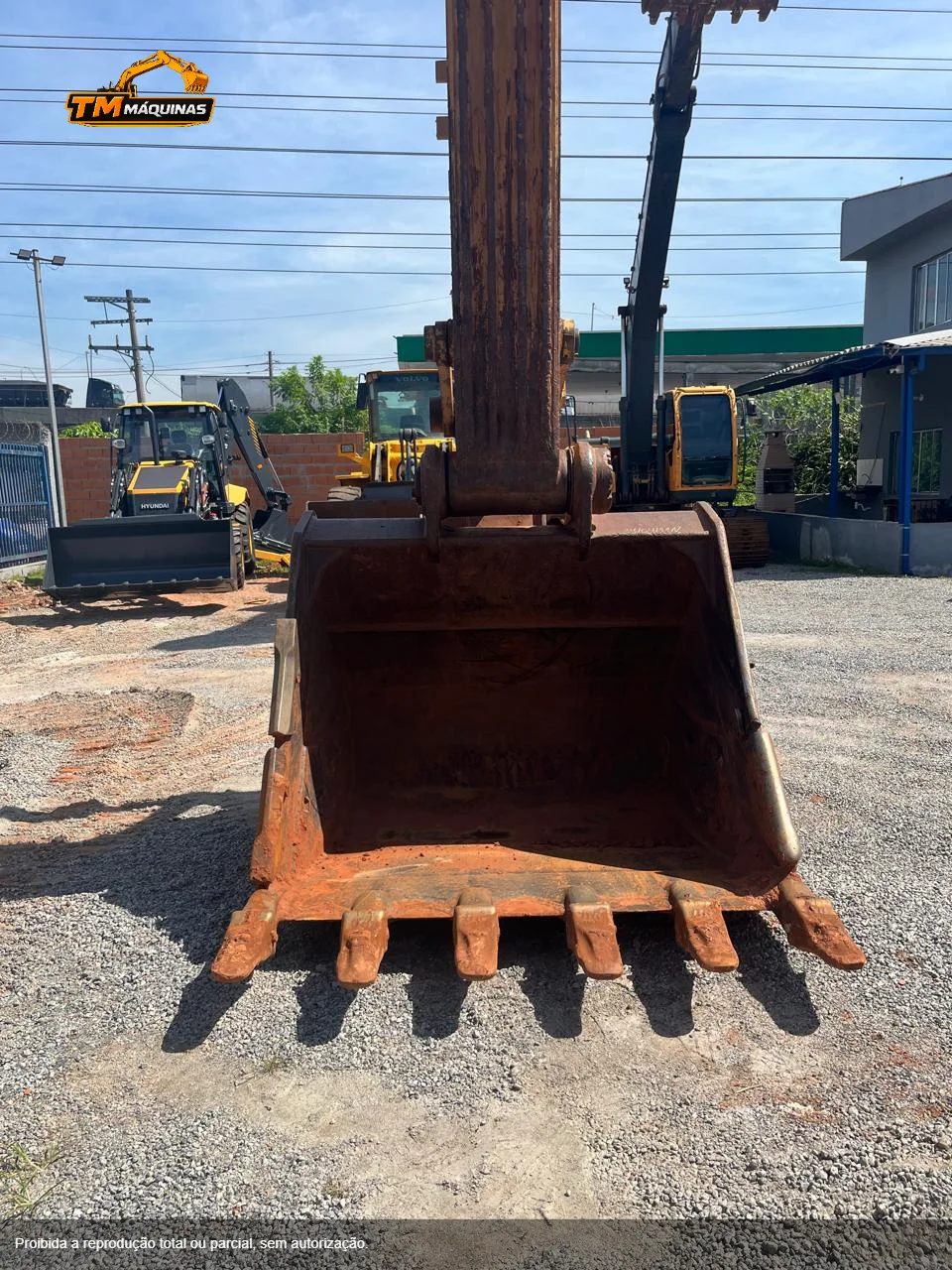 Caterpillar thumbnail 9