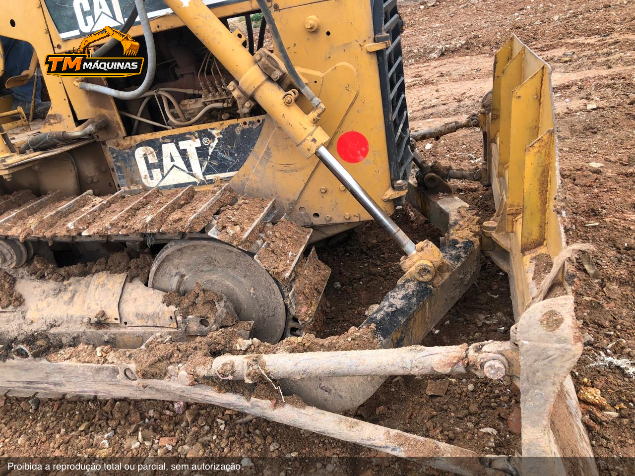 Caterpillar thumbnail 3