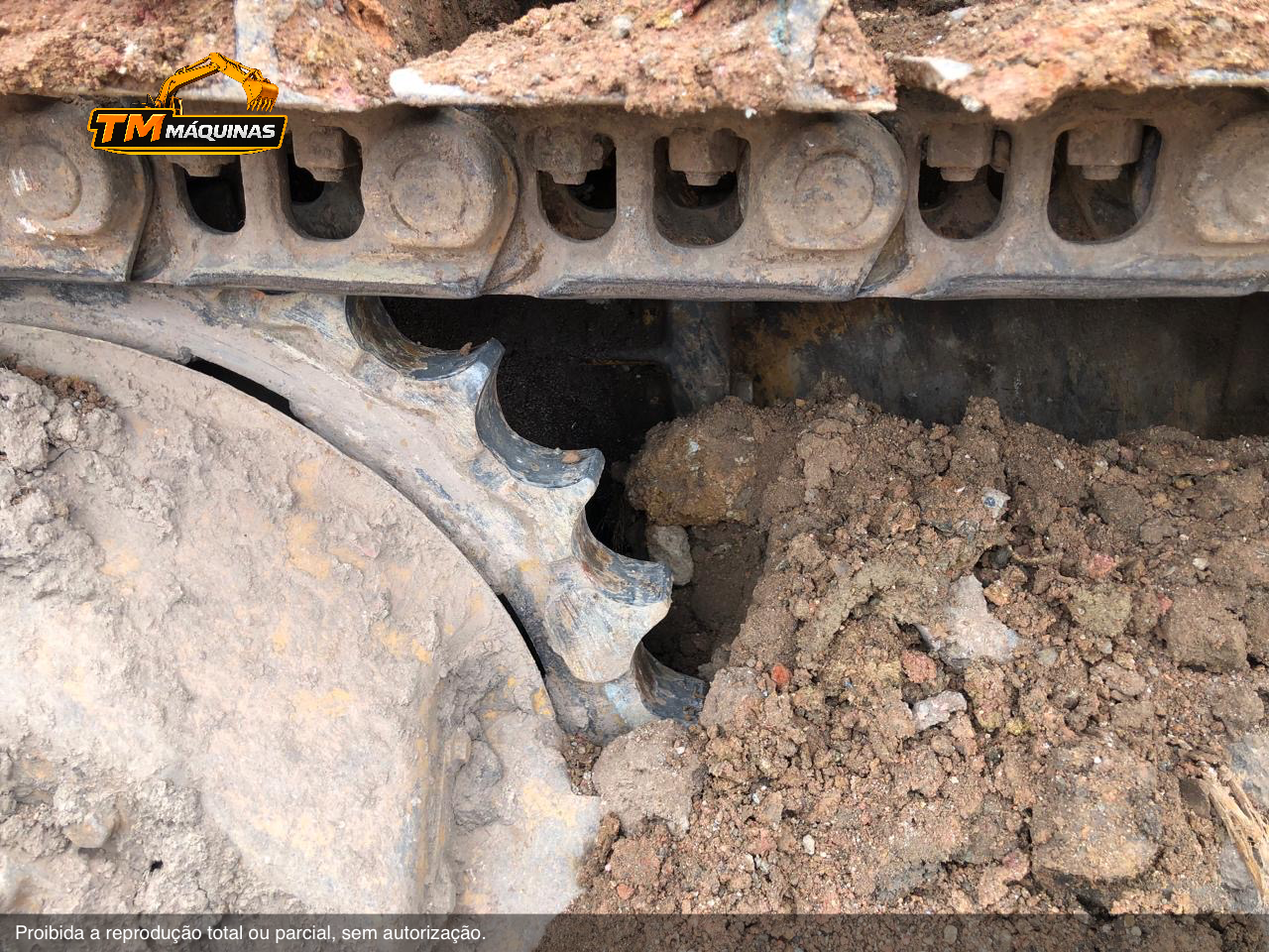 Caterpillar thumbnail 6