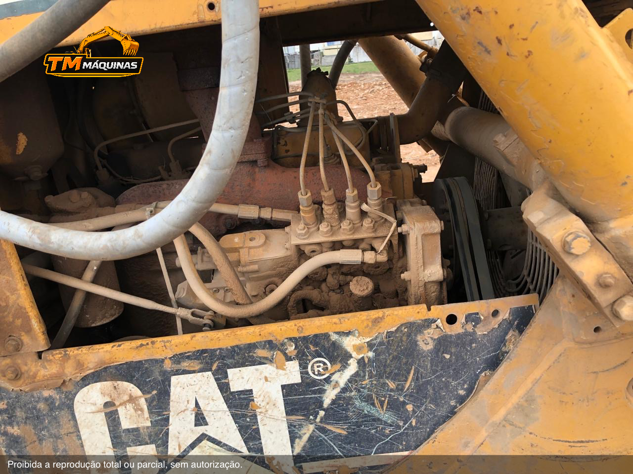 Caterpillar thumbnail 9